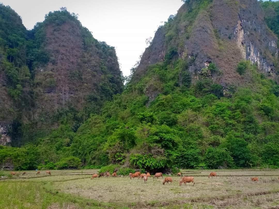 Гостевой дом Kampoeng Karst Rammang Rammang Kasijala Экстерьер фото