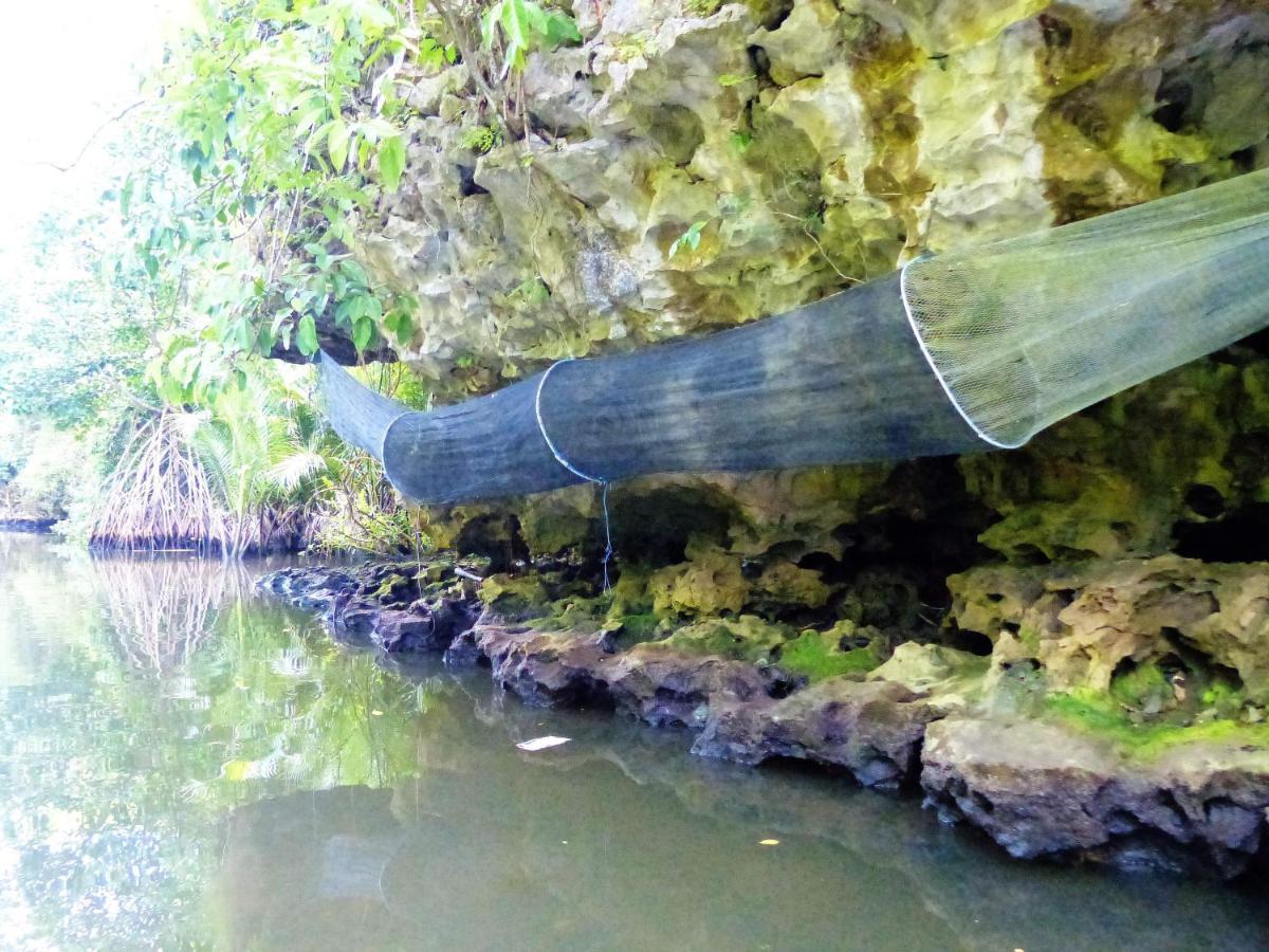 Гостевой дом Kampoeng Karst Rammang Rammang Kasijala Экстерьер фото