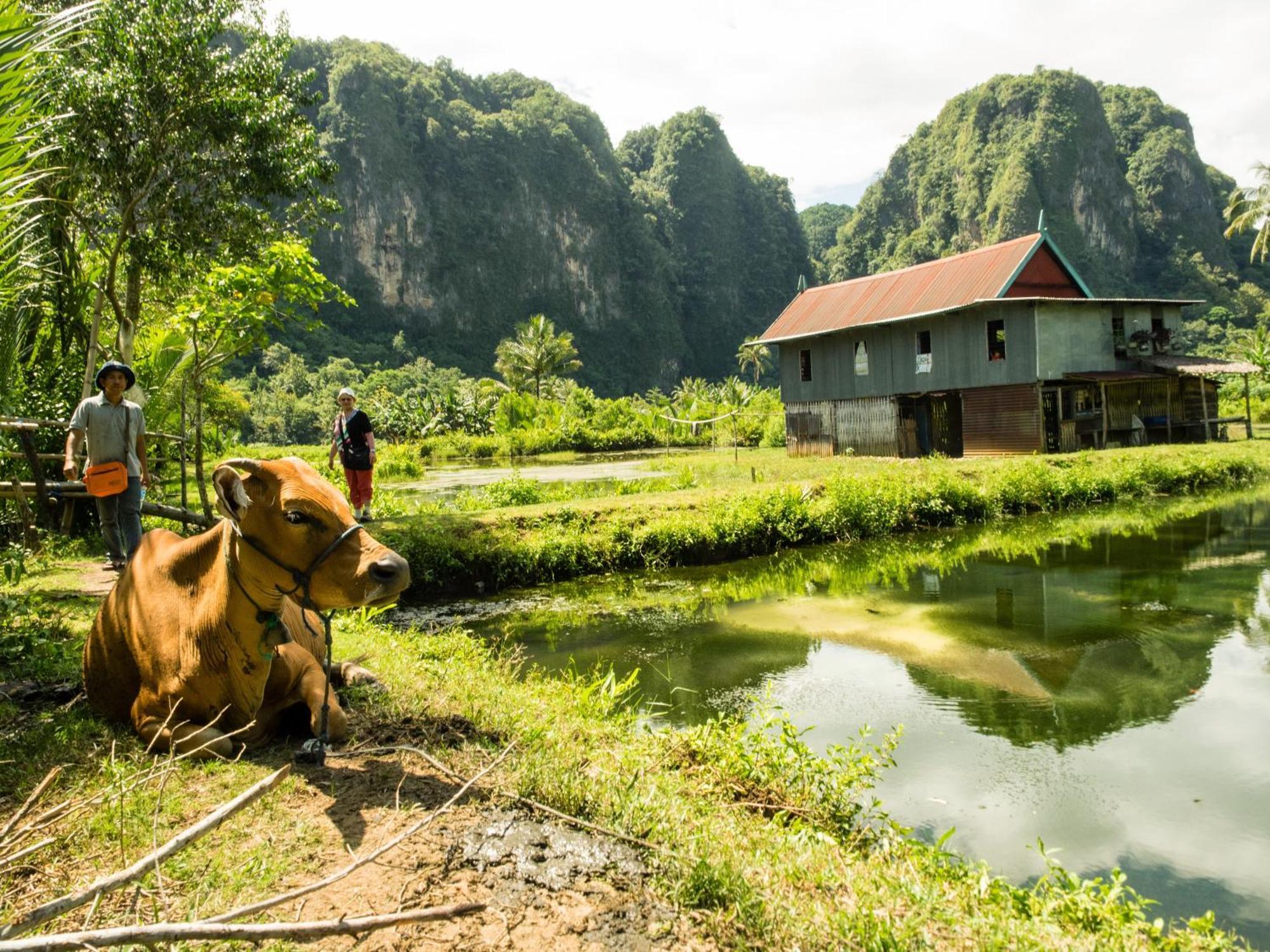 Гостевой дом Kampoeng Karst Rammang Rammang Kasijala Экстерьер фото